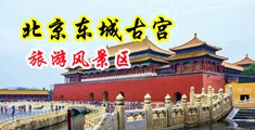 女人下面操B网站中国北京-东城古宫旅游风景区